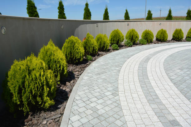 Reasons to Select Us for Your Driveway Paving Requirements in Hildebran, NC